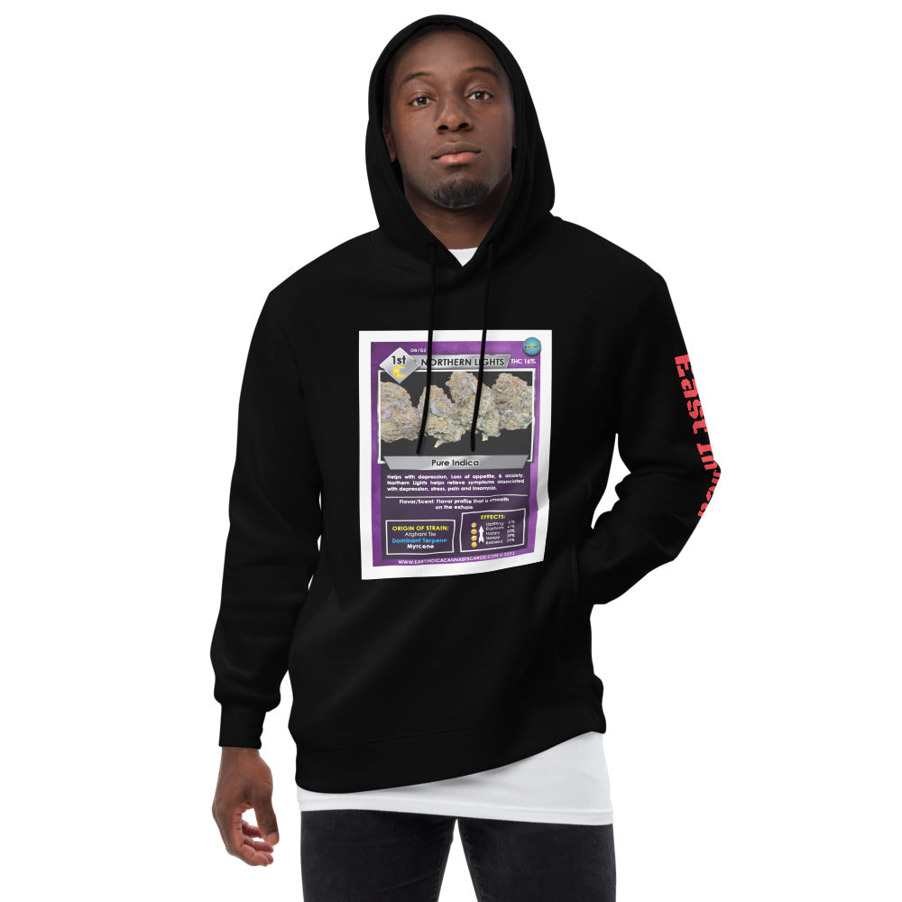 Northern Lights Unisex fashion hoodie