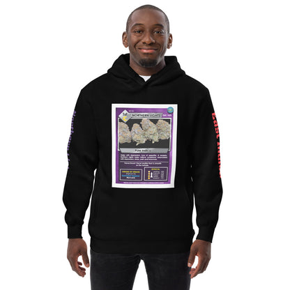 Northern Lights Unisex fashion hoodie